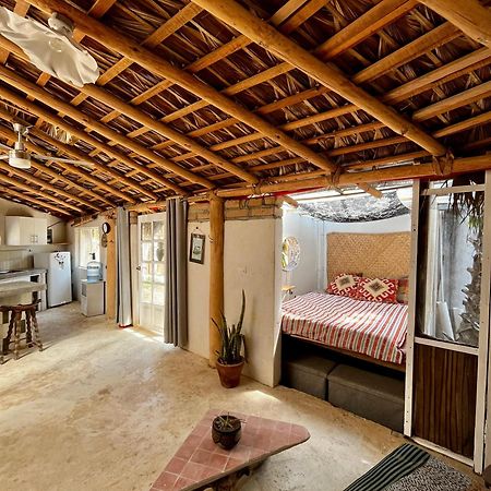 La Sardina Hostel Todos Santos Ngoại thất bức ảnh