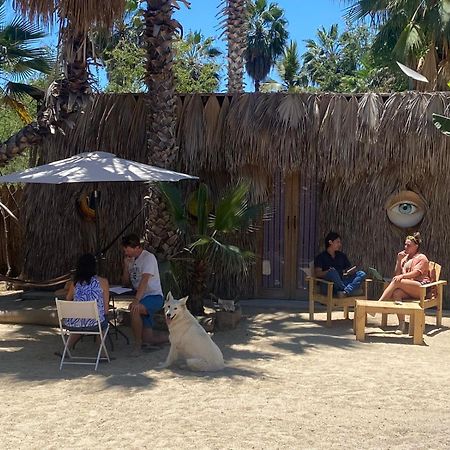 La Sardina Hostel Todos Santos Ngoại thất bức ảnh