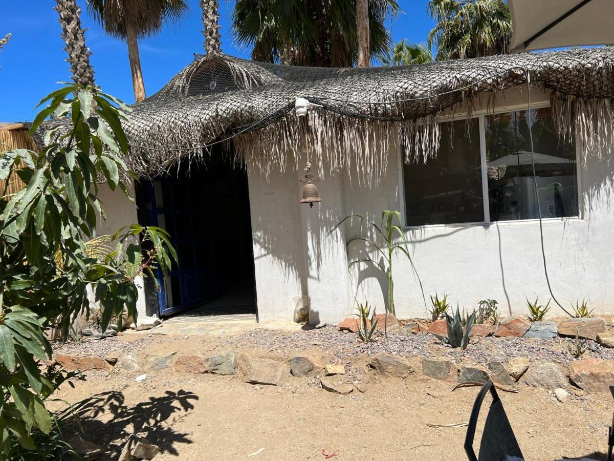 La Sardina Hostel Todos Santos Ngoại thất bức ảnh