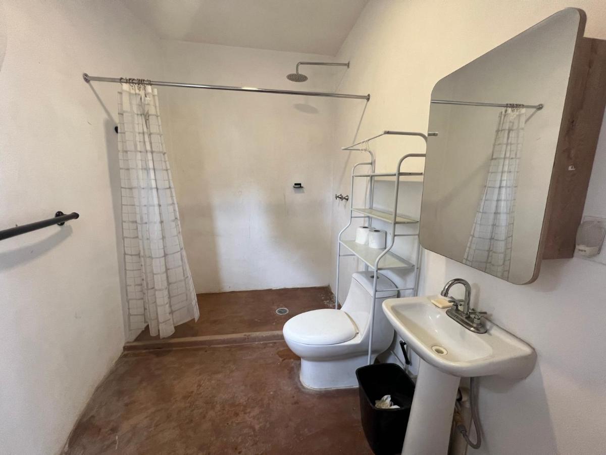 La Sardina Hostel Todos Santos Ngoại thất bức ảnh