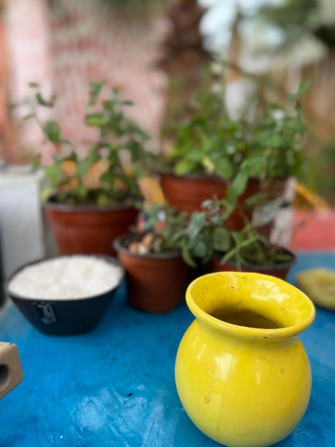 La Sardina Hostel Todos Santos Ngoại thất bức ảnh