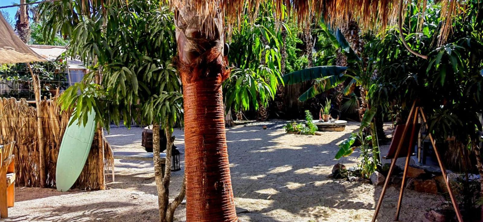 La Sardina Hostel Todos Santos Ngoại thất bức ảnh