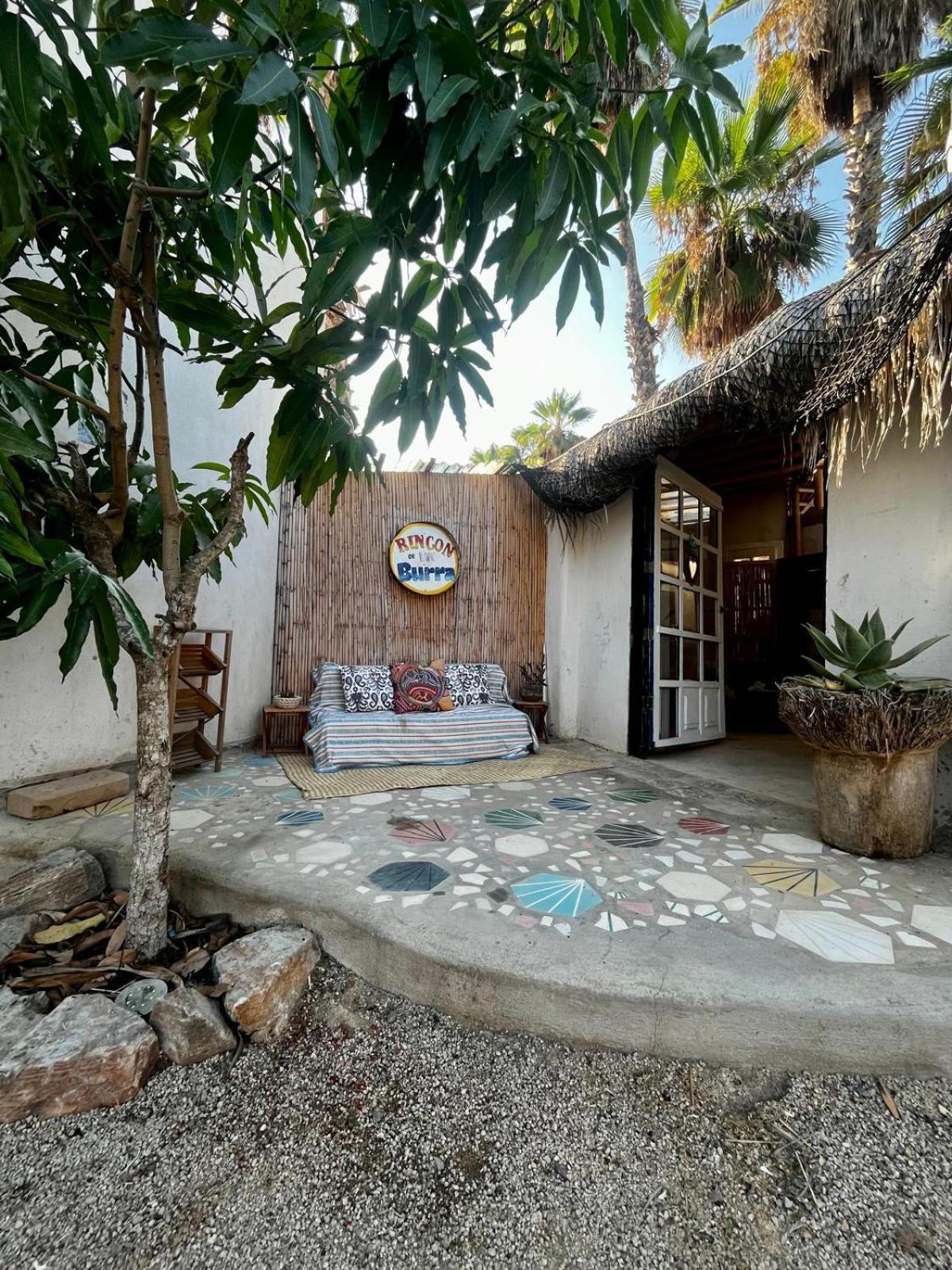La Sardina Hostel Todos Santos Ngoại thất bức ảnh