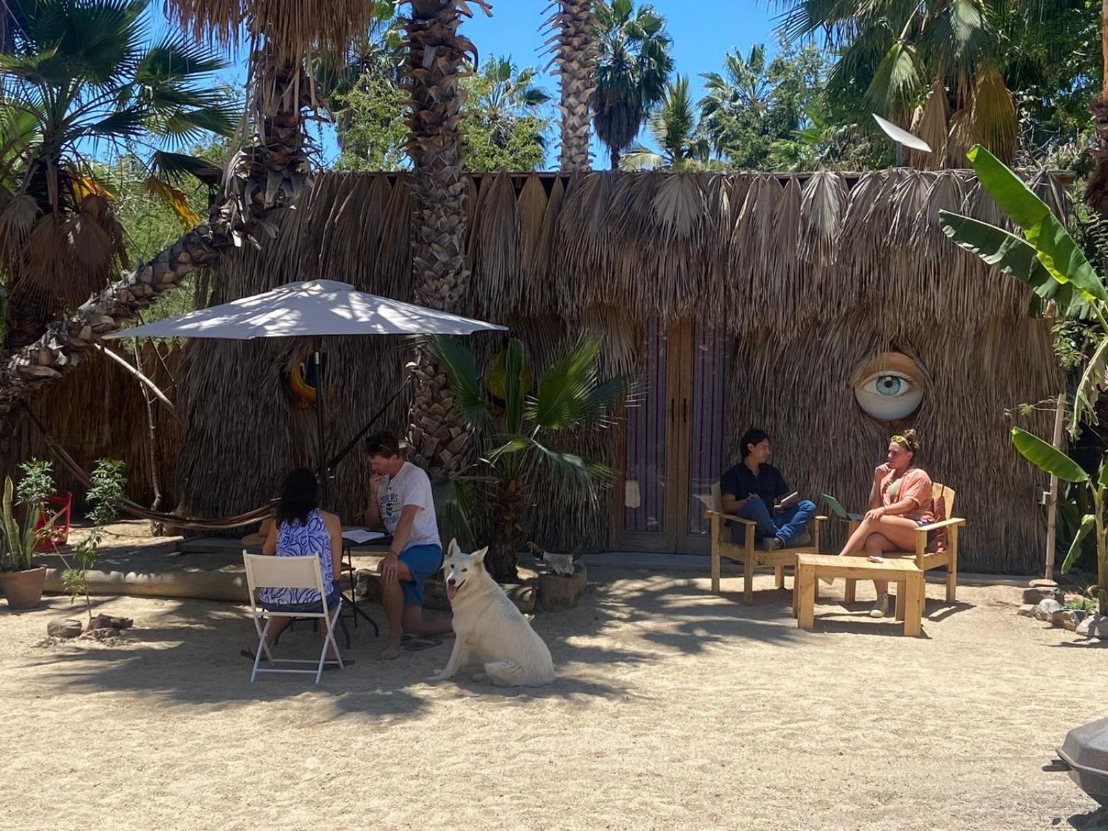 La Sardina Hostel Todos Santos Ngoại thất bức ảnh